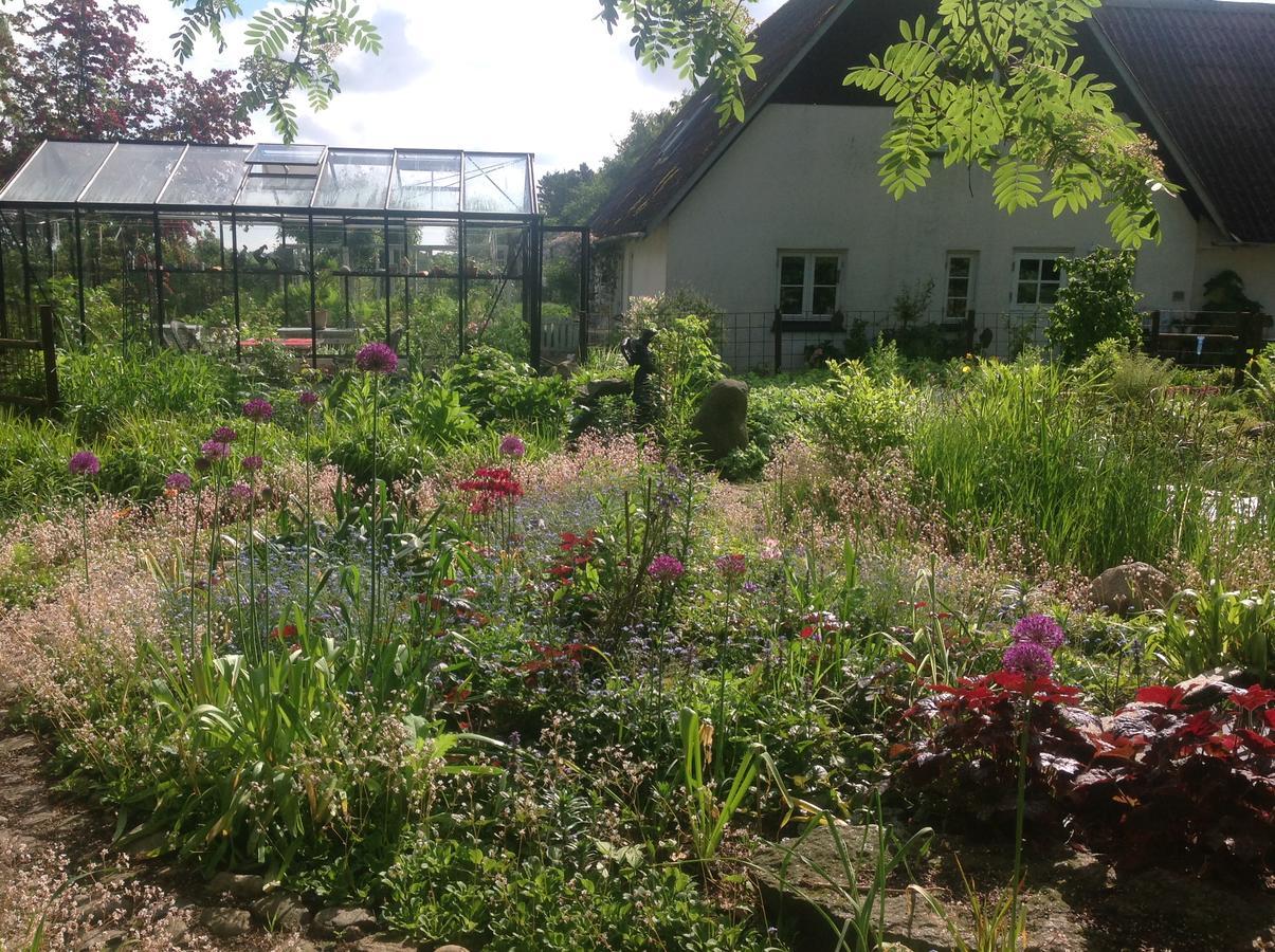 Bed And Breakfast - Stakdelen 47 Allerup Εξωτερικό φωτογραφία